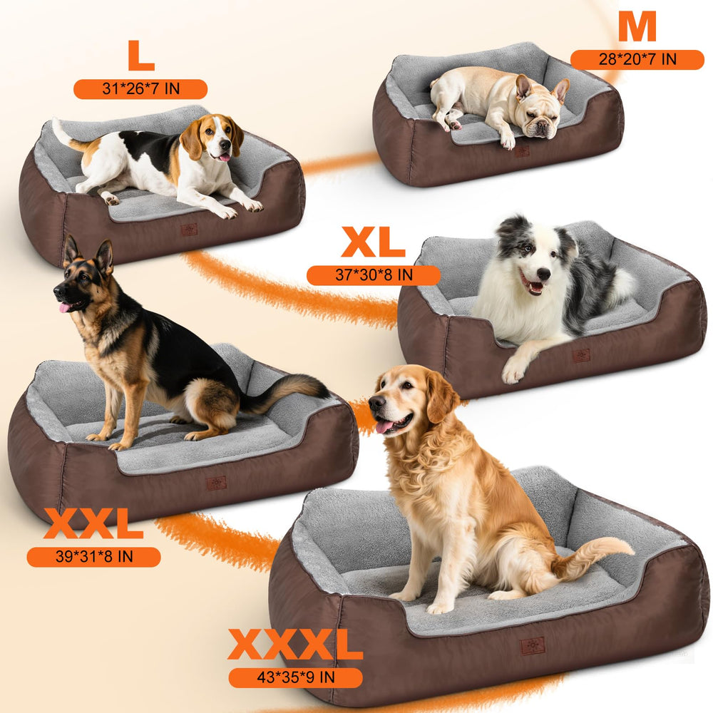 CIESMSI size guide image showing fit for growing pets