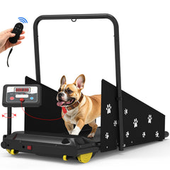 CIIHI C dog treadmill with 360-degree display for easy speed and time reading during workouts