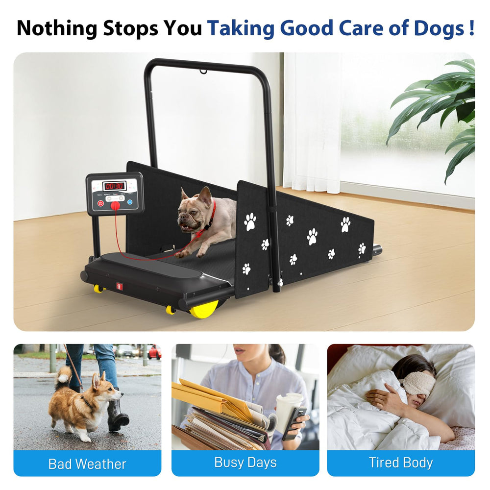 CIIHI C dog treadmill safety side panels prevent dog from stepping off during sessions