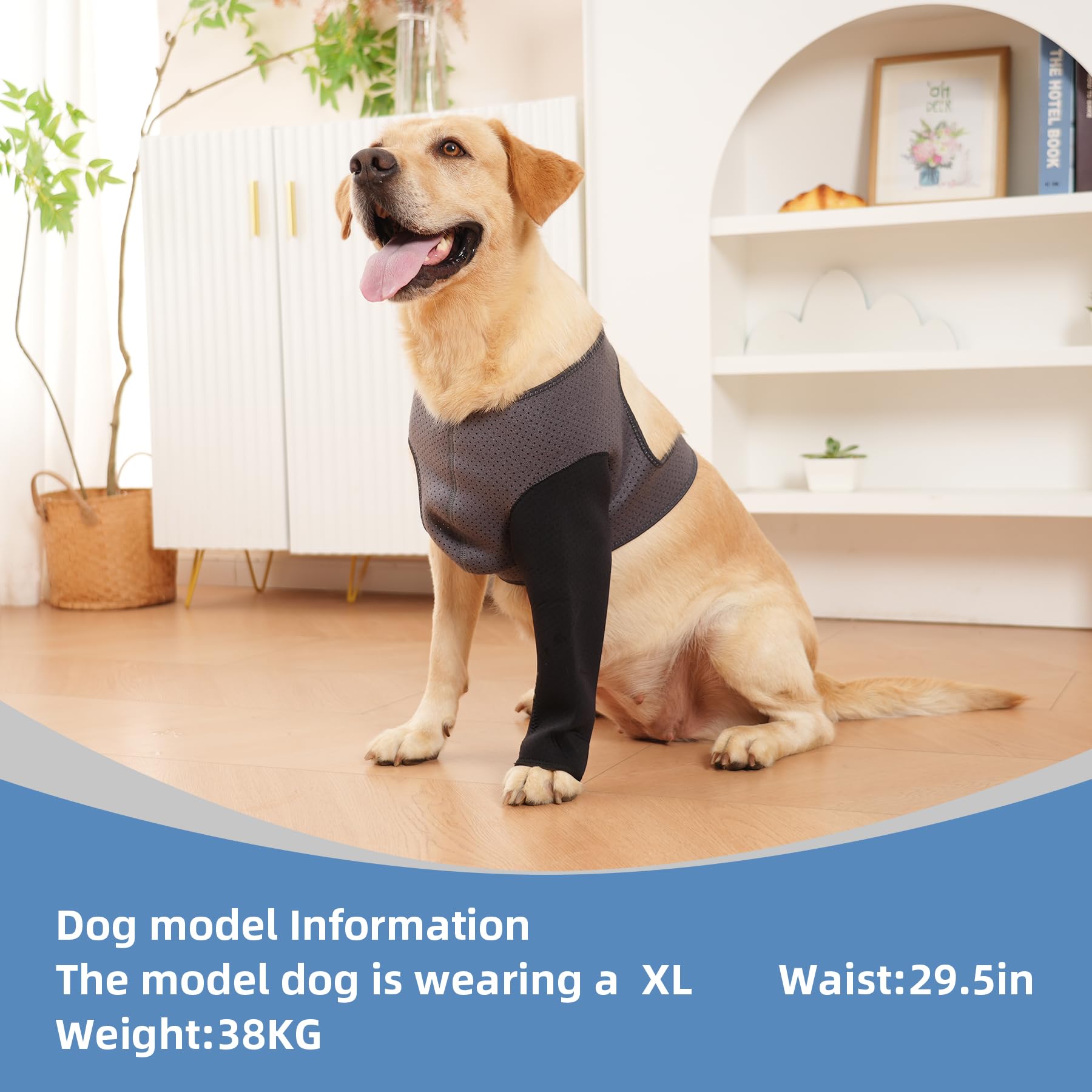 Cilkus Dog Recovery Sleeve after-surgery use supports gentle recovery indoors
