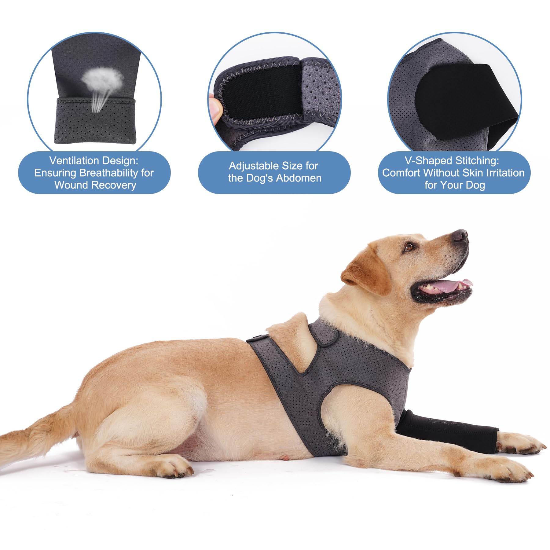 Cilkus Dog Recovery Sleeve breathable fabric keeps air flowing during rest