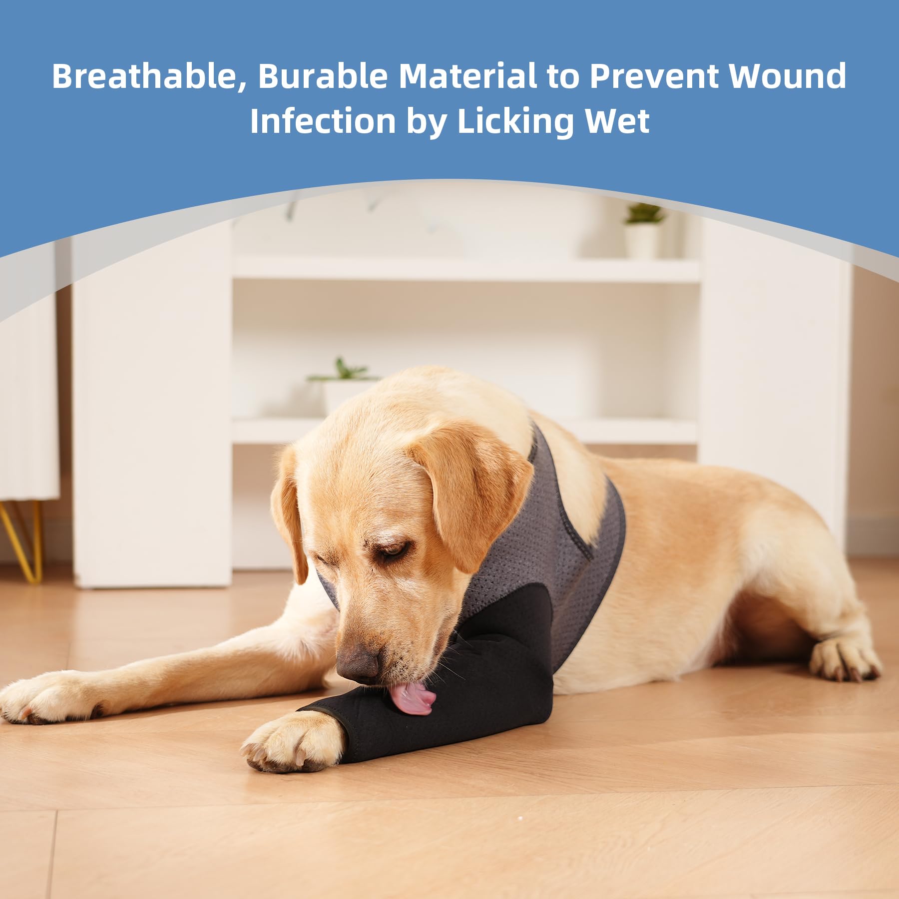 Cilkus Dog Recovery Sleeve soft stretch-fit hugs the leg comfortably