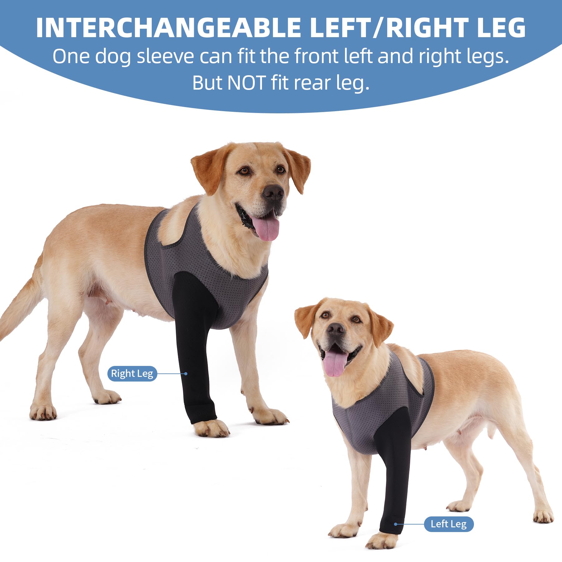 Cilkus Dog Recovery Sleeve washable material ensures quick cleaning after outdoor adventures