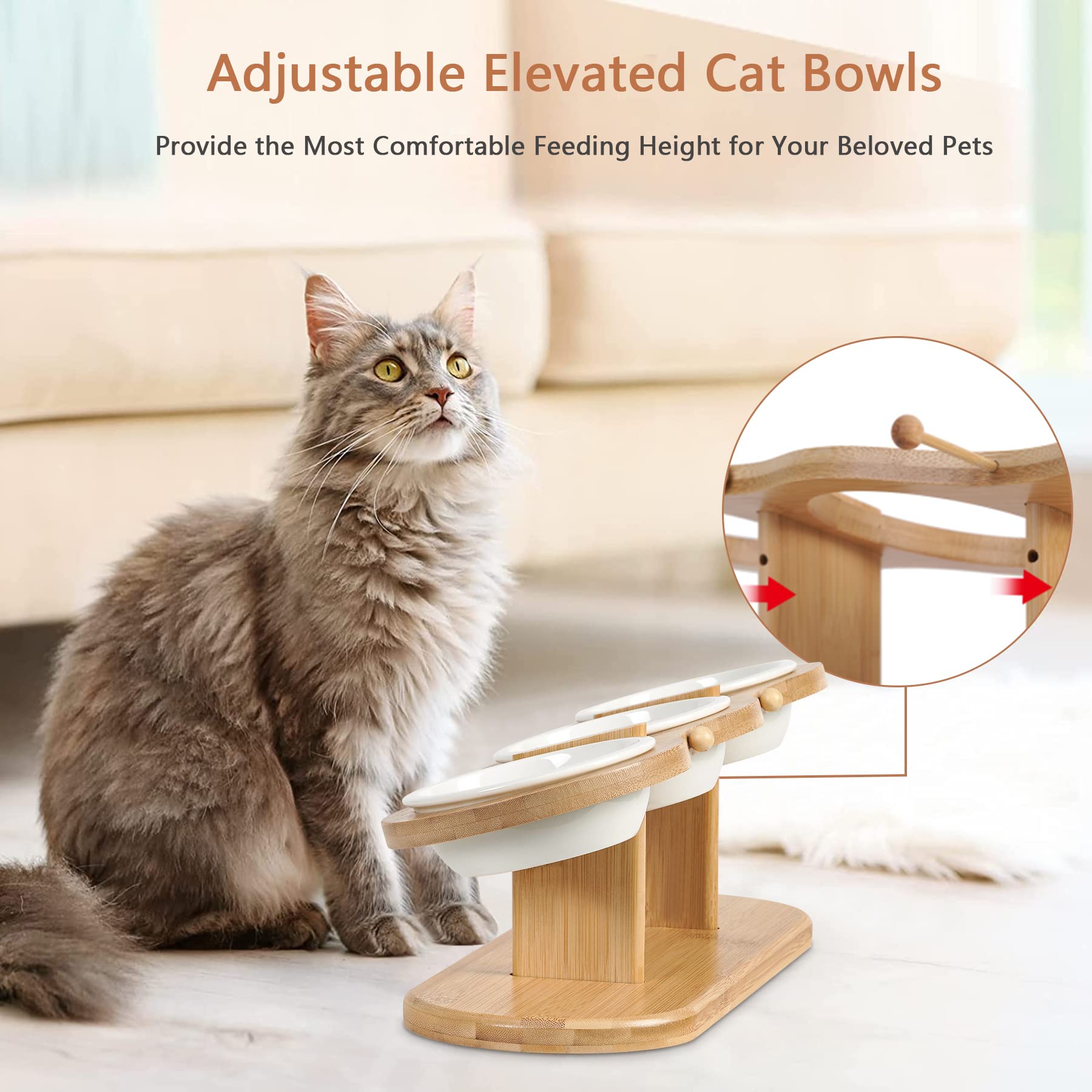 CILXGQLN three ceramic bowls keep meals clean and organized.