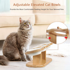 CILXGQLN three ceramic bowls keep meals clean and organized.