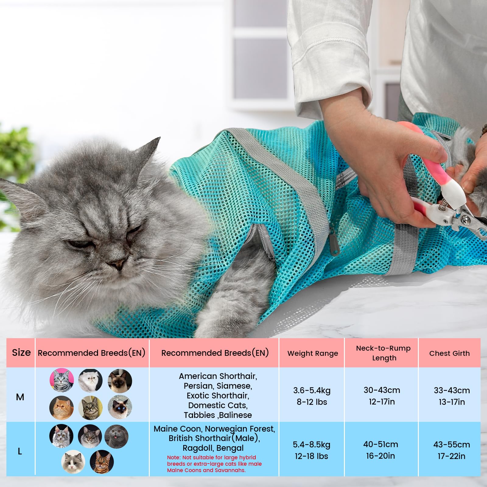 Cinf muzzle on cat with light blue bathing bag