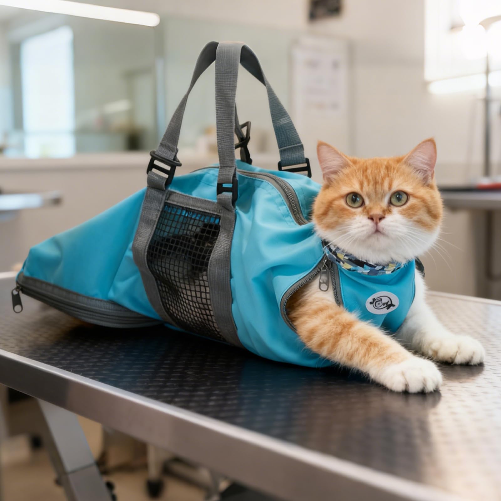 Cinf Cat Grooming Bag blue front view enables safe nail trimming and bath access.