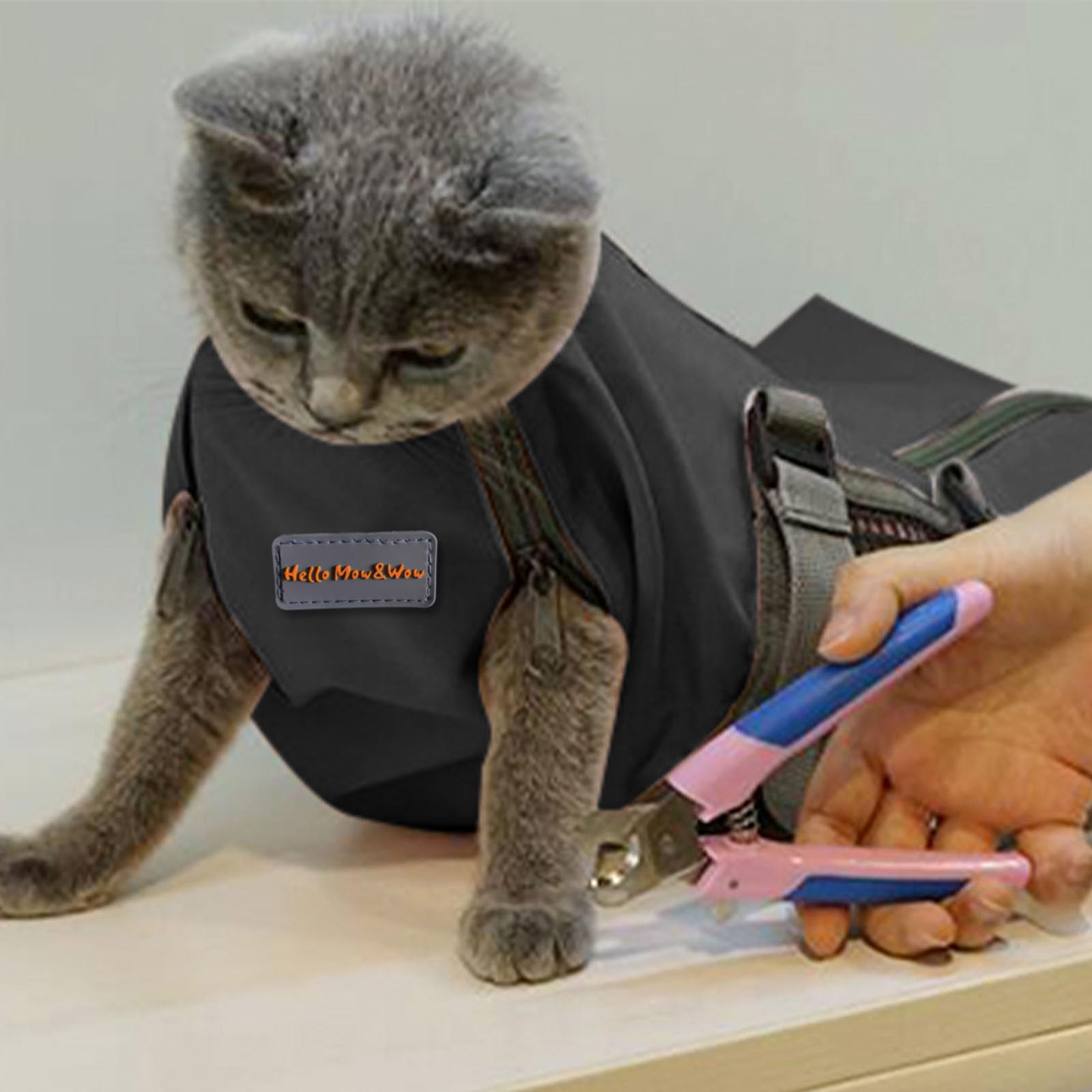 Cinf cat grooming bag zipper layout highlights full grooming access