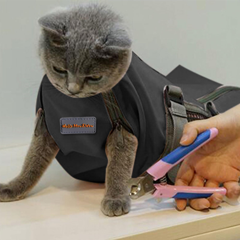 Cinf cat grooming bag zipper layout highlights full grooming access