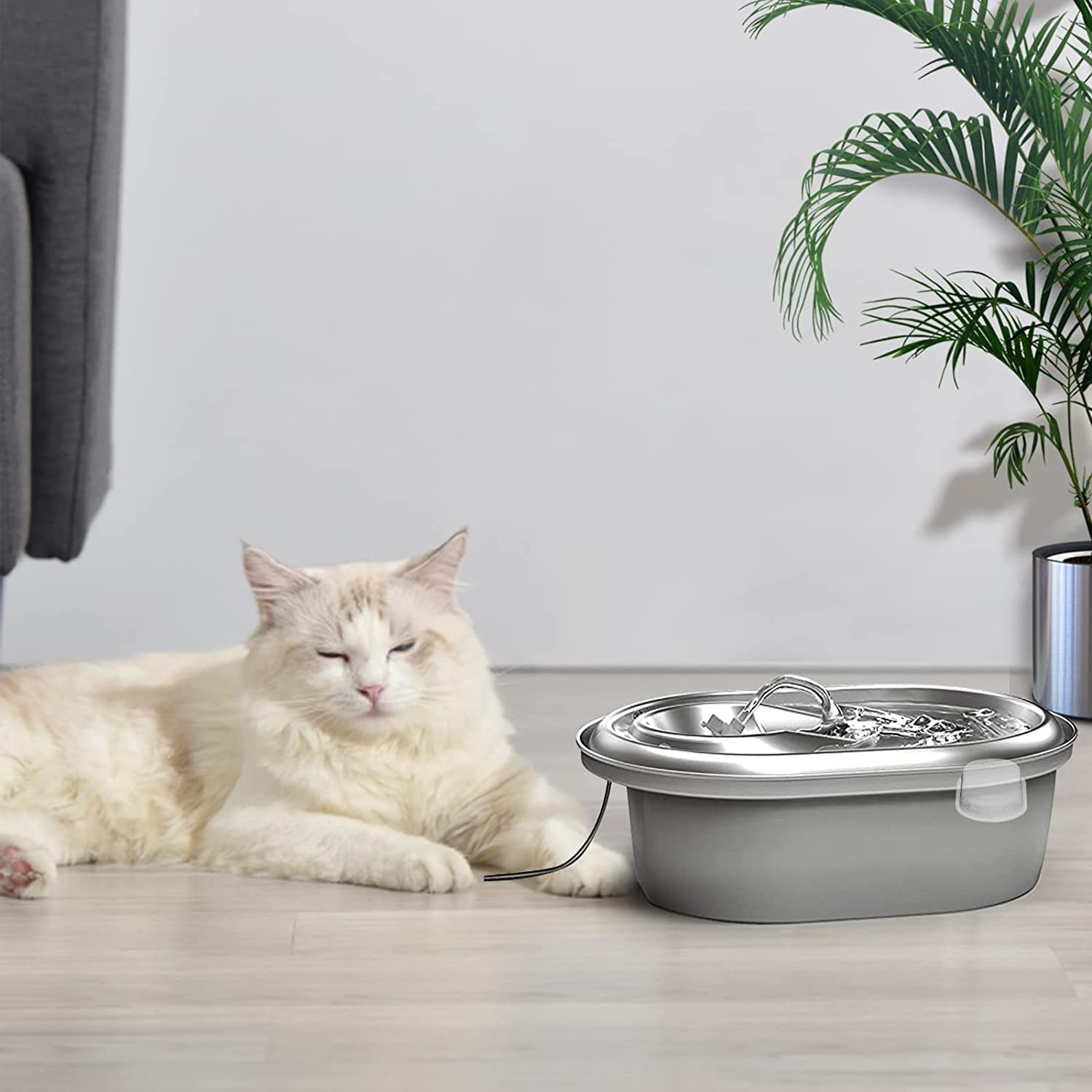Cirfifth cat fountain water clarity demo suggesting better hydration.
