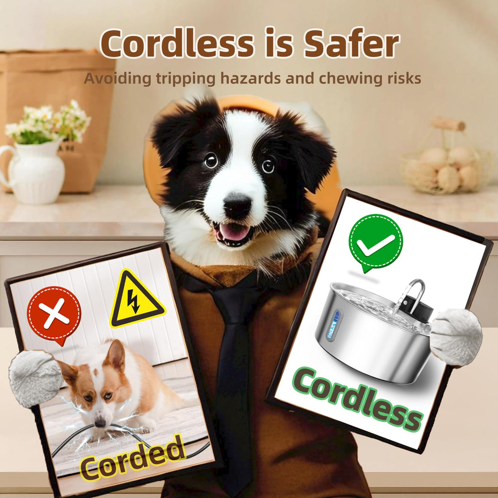 CITIZILI cordless pet fountain indoor-outdoor view enabling flexible placement.