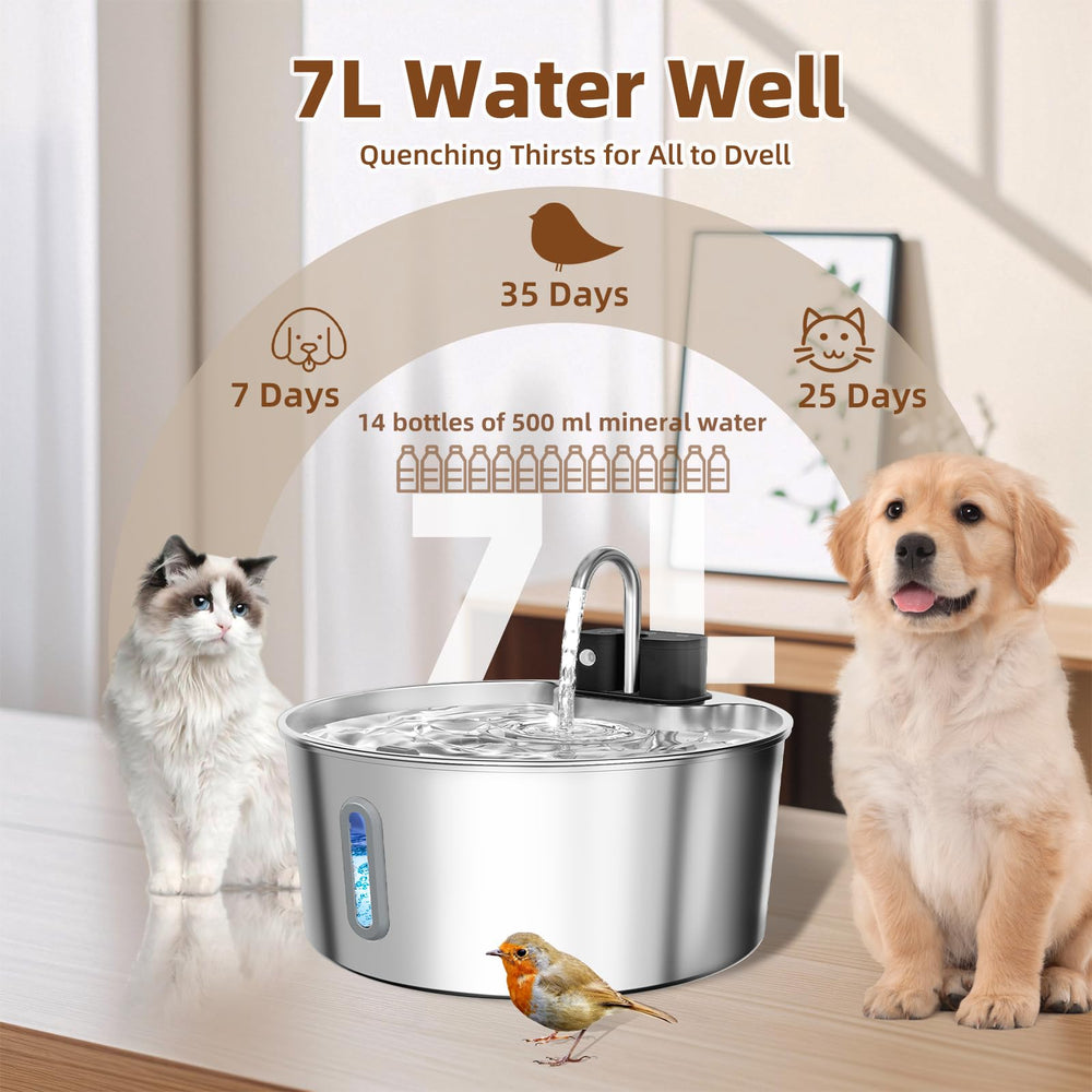 CITIZILI stainless-steel design communicates durability and hygienic water for pets.