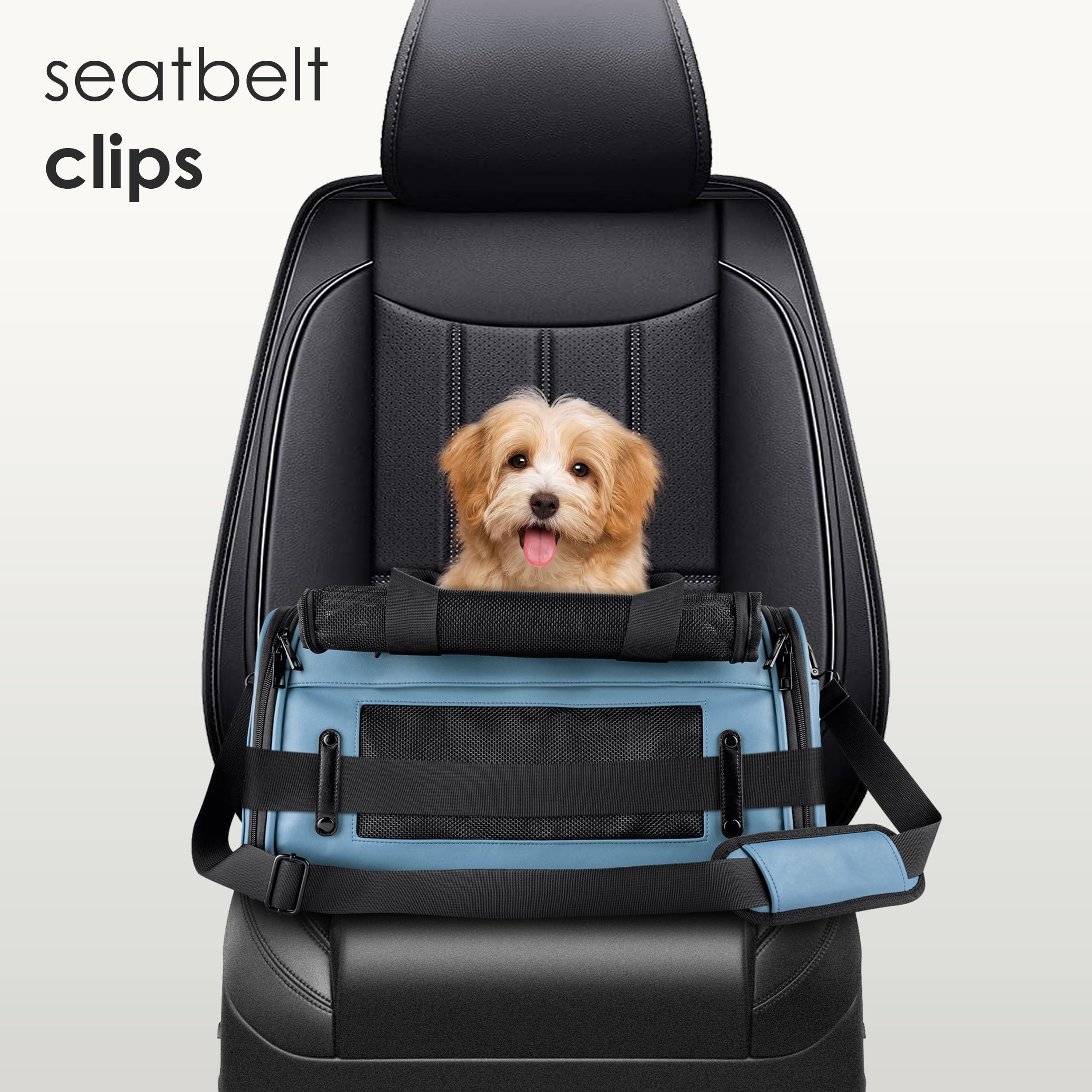 CITRUSY travel-size carrier fits small dogs and cats up to 15 lbs.