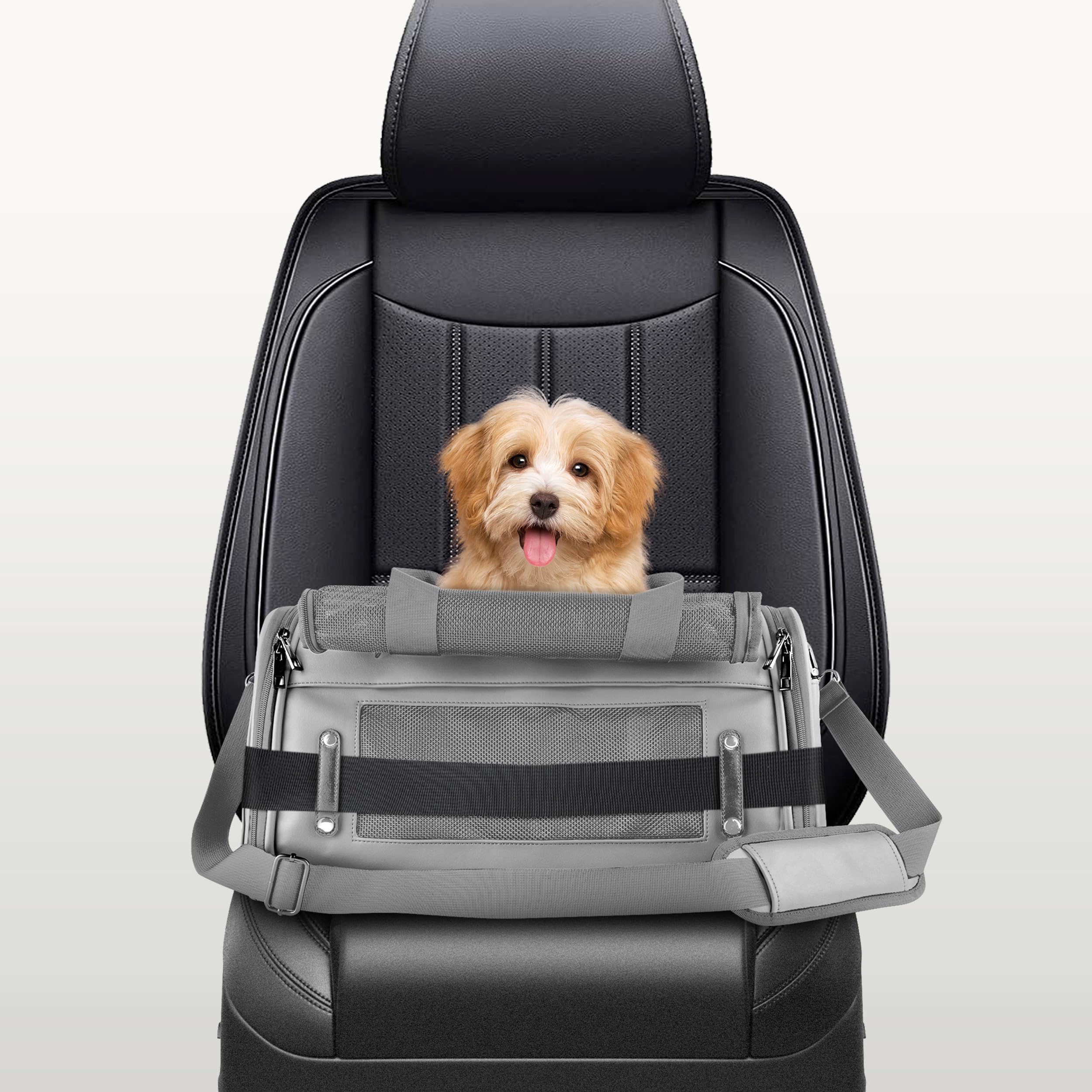 CITRUSY TSA airline-approved pet carrier flat-fold design for compact storage