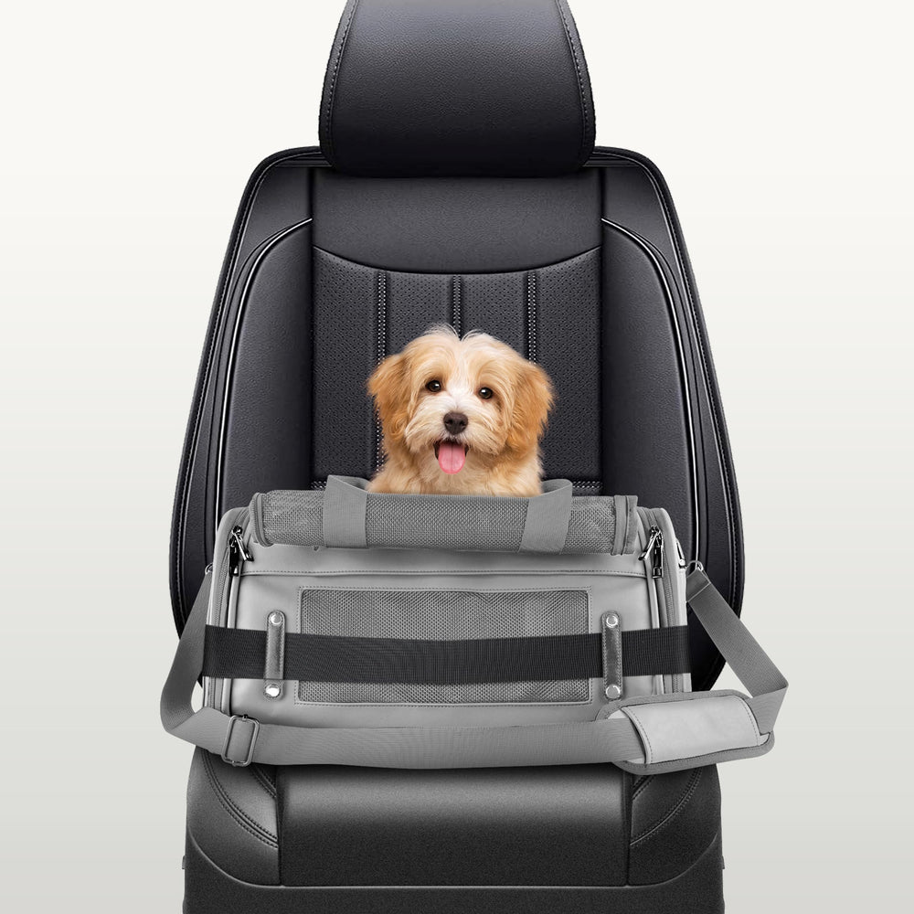 CITRUSY TSA airline-approved pet carrier flat-fold design for compact storage