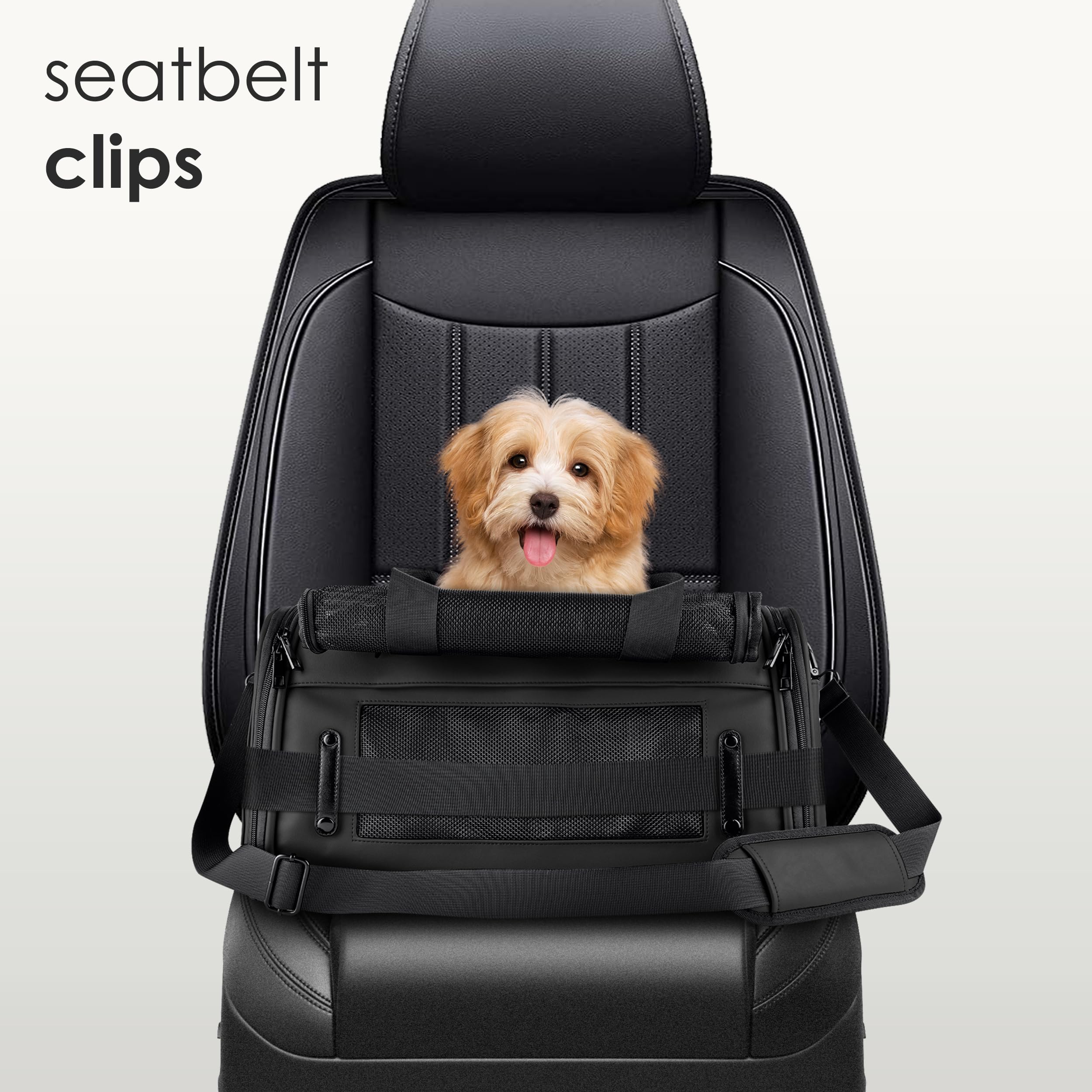 Citrusy TSA pet carrier XS/S compact design fits under seats.