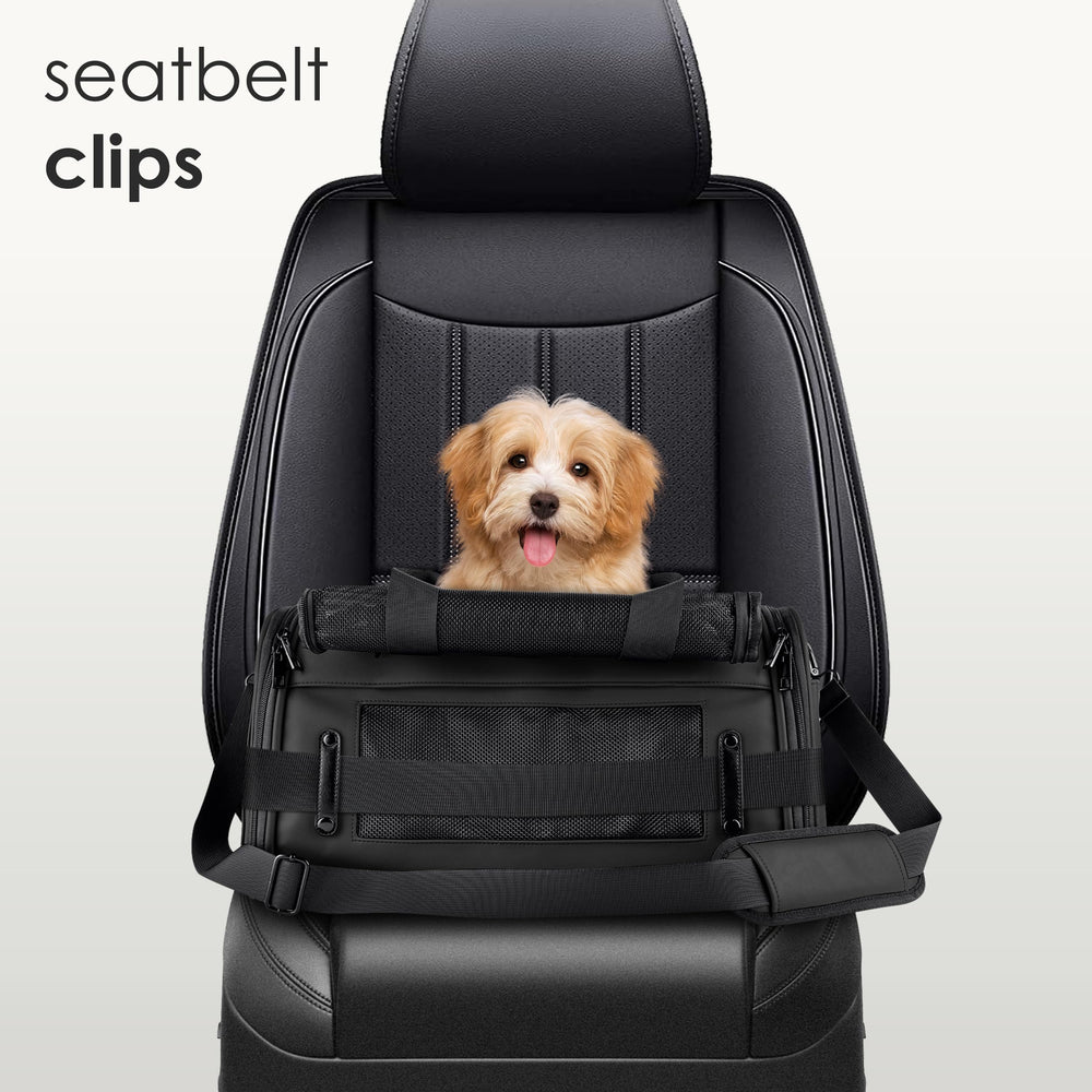 Citrusy TSA pet carrier XS/S compact design fits under seats.