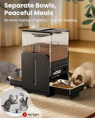 CityFlee automatic cat feeder with dual bowls for two cats