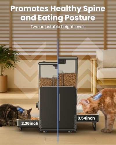 CityFlee feeder height options showing ergonomic setup