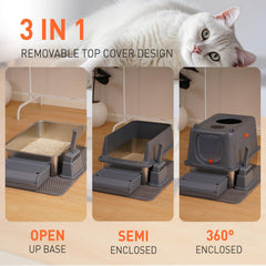 Citylife XXL litter box shows extra-large interior for big cats and multi-cat homes.