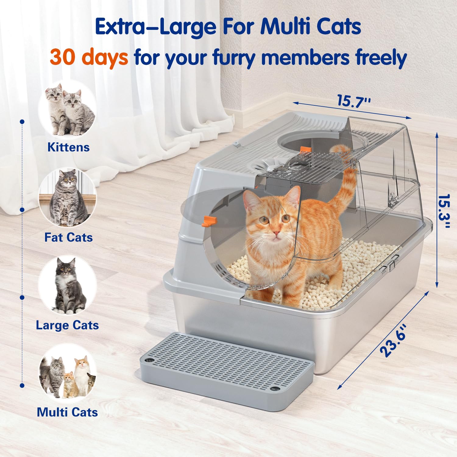 Citylife litter box with 20L capacity supports longer cleanup intervals
