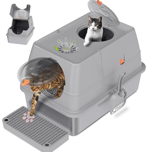 Citylife stainless steel litter box with lid from top view highlights privacy and easy cleaning