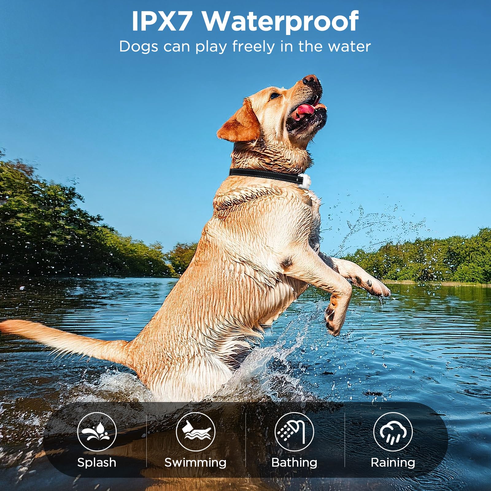 CIUZL dog shock collar probes with silicone sleeve protect skin during training.