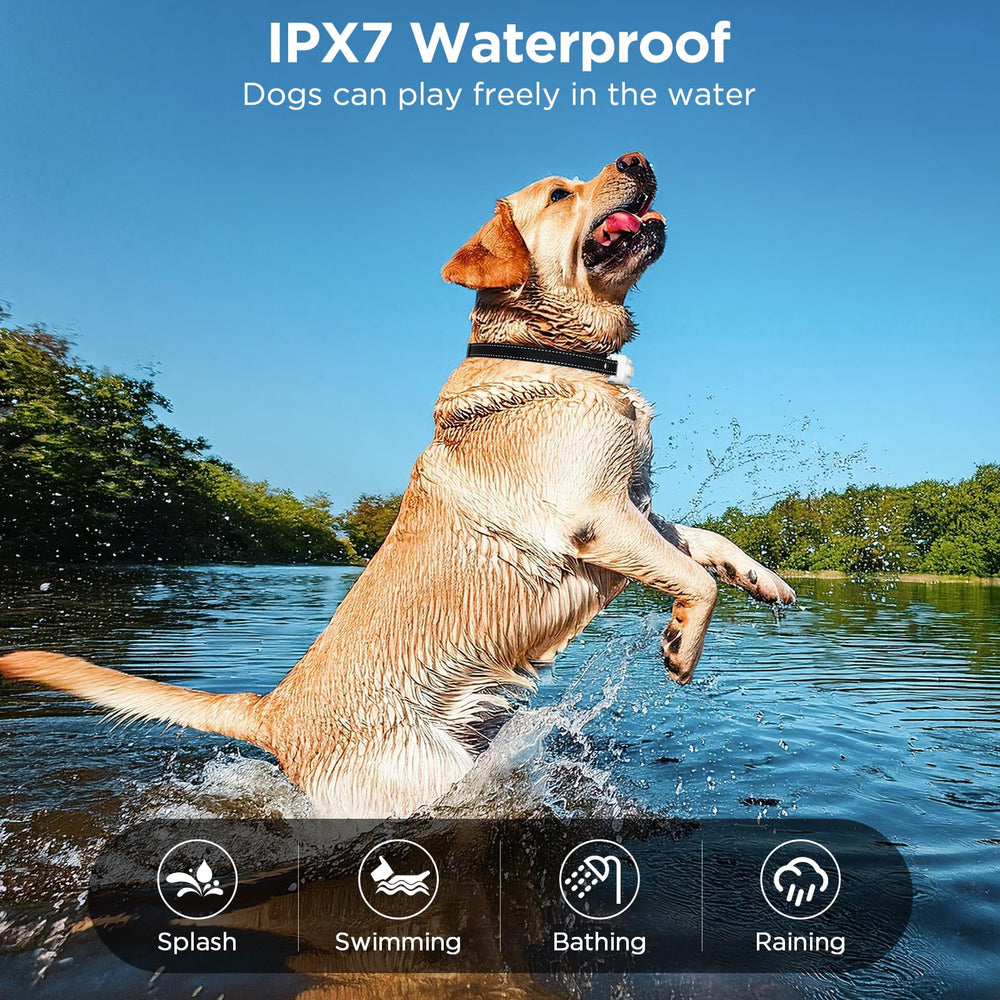 CIUZL dog shock collar probes with silicone sleeve protect skin during training.