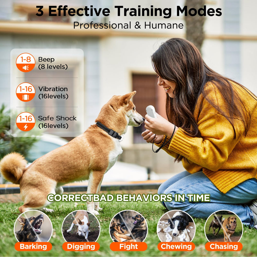CIUZL dog shock collar IP67 waterproof receiver for all-weather training outdoors.