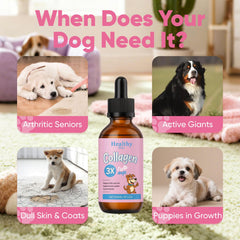 CIVGICY Healthy Petz dog coat closeup highlights shiny fur through collagen