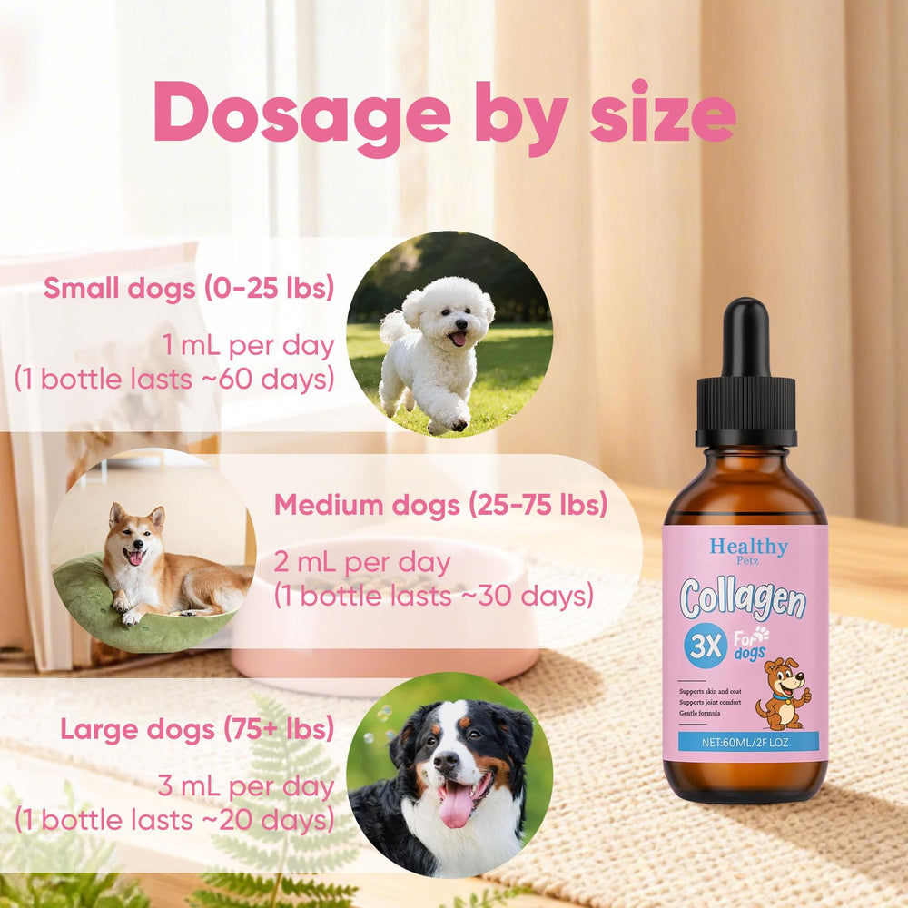 CIVGICY Healthy Petz gut health illustration implies improved digestion support