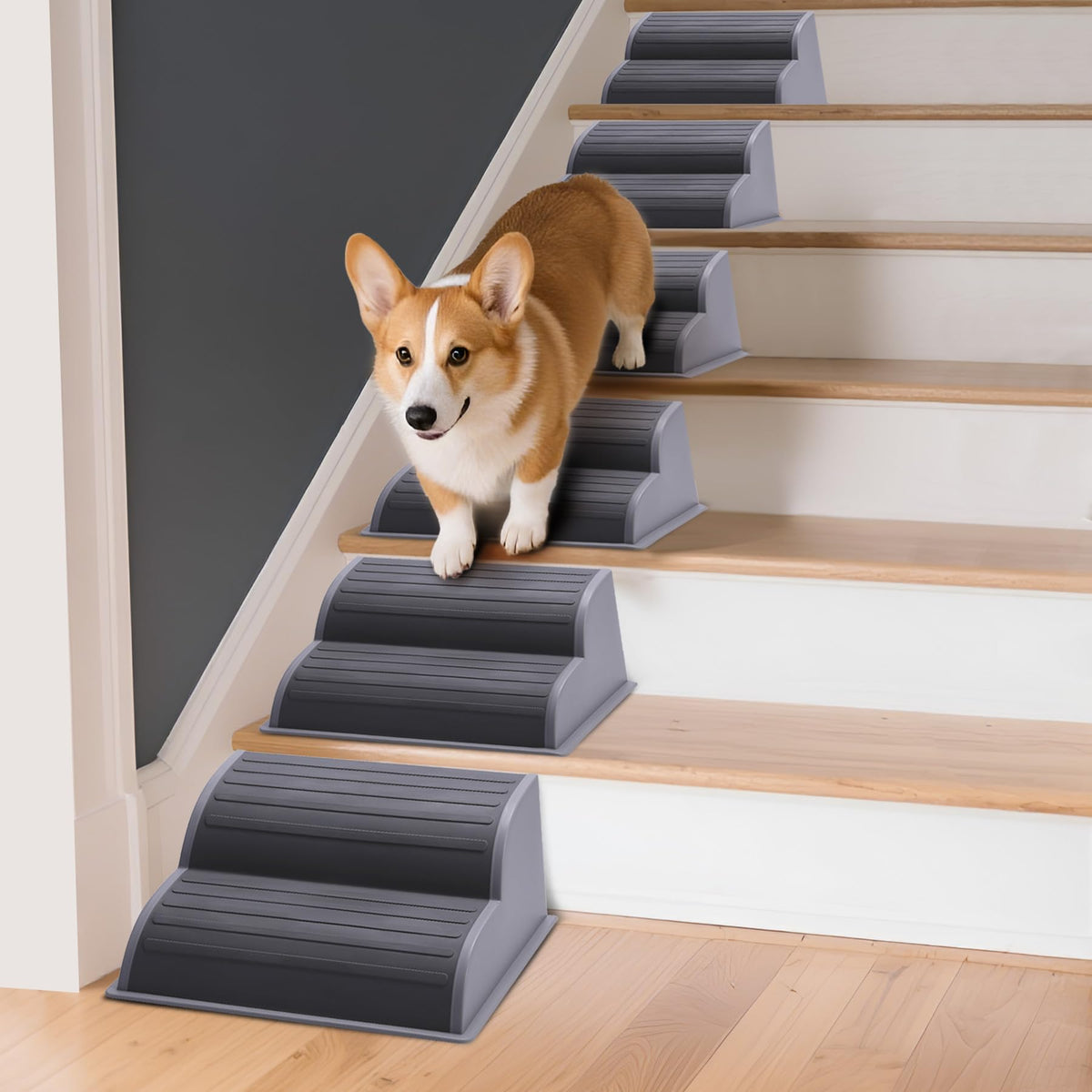 CiWiVOKi 2-Step Modular Dog Ramp front view shows compact, portable stairs for easy indoor access