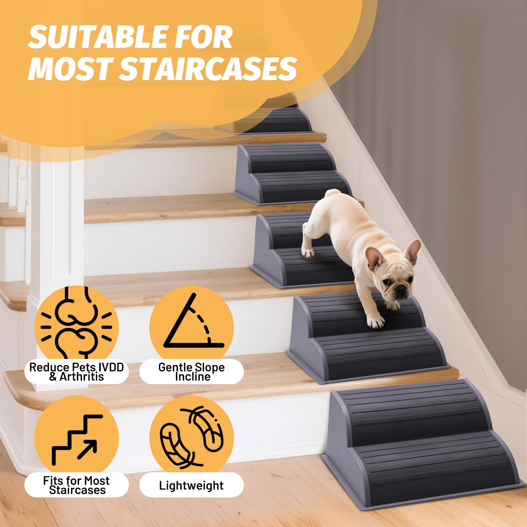 CiWiVOKi 2-Step Modular Dog Ramp helps small dogs use stairs with ease in daily life