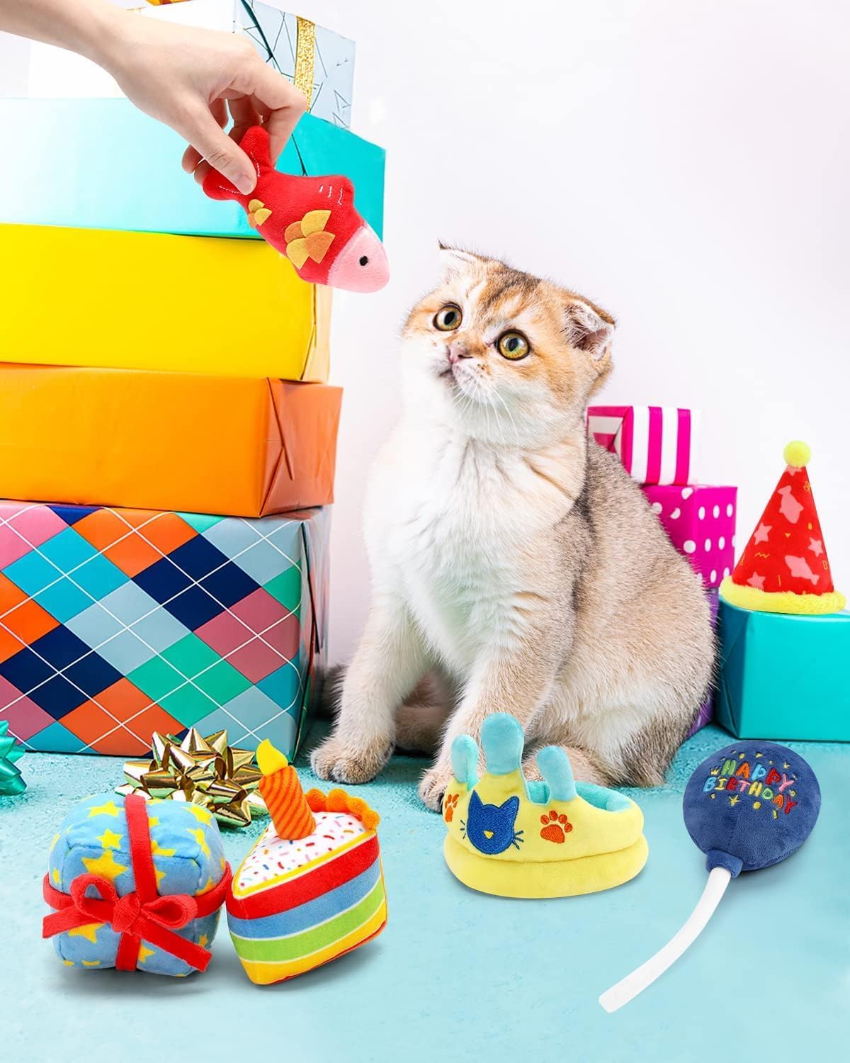 CiyvoLyeen gift box toy—compact, chew-friendly play for quick bursts of chasing fun.