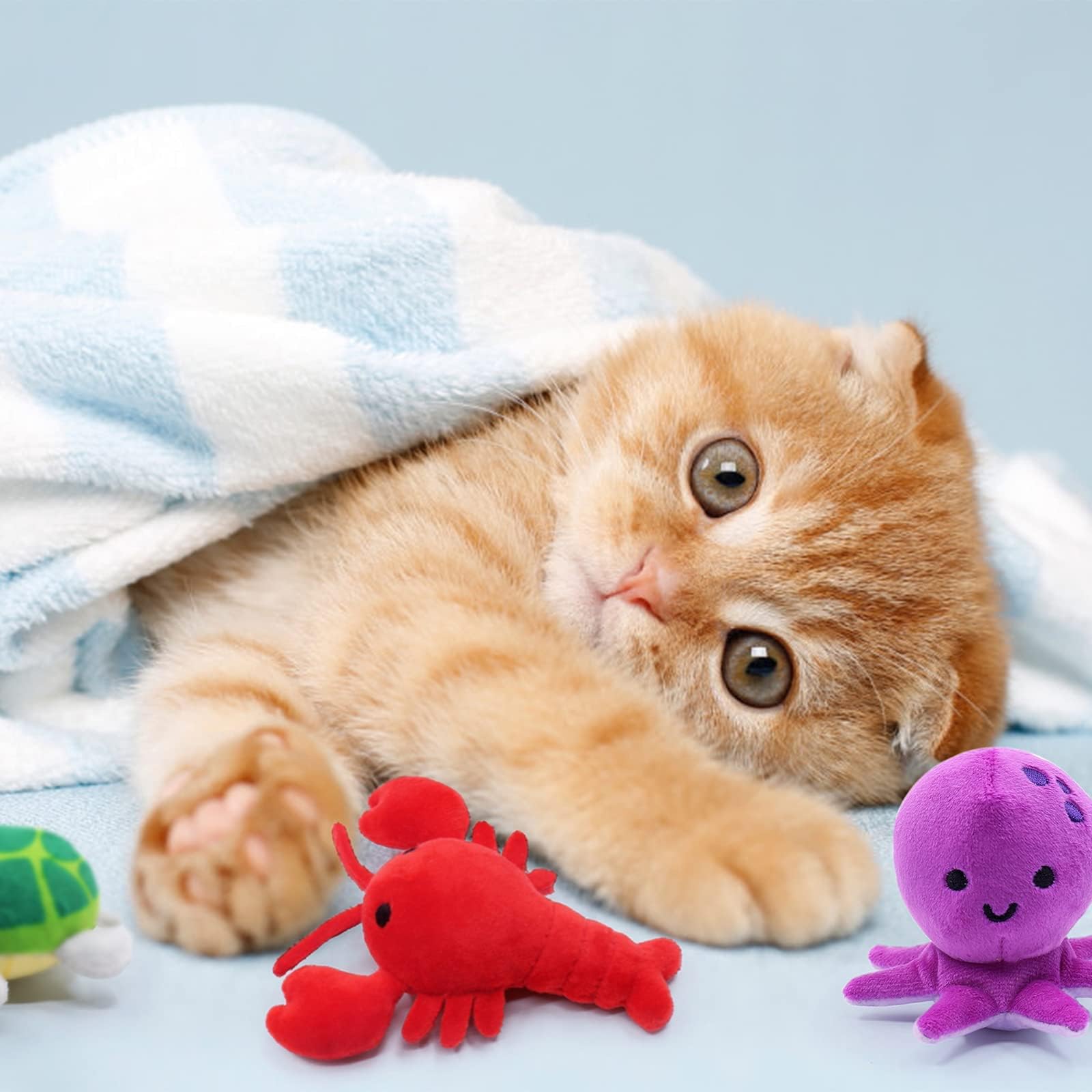 CiyvoLyeen seahorse catnip toy encourages chasing and affectionate pawing.