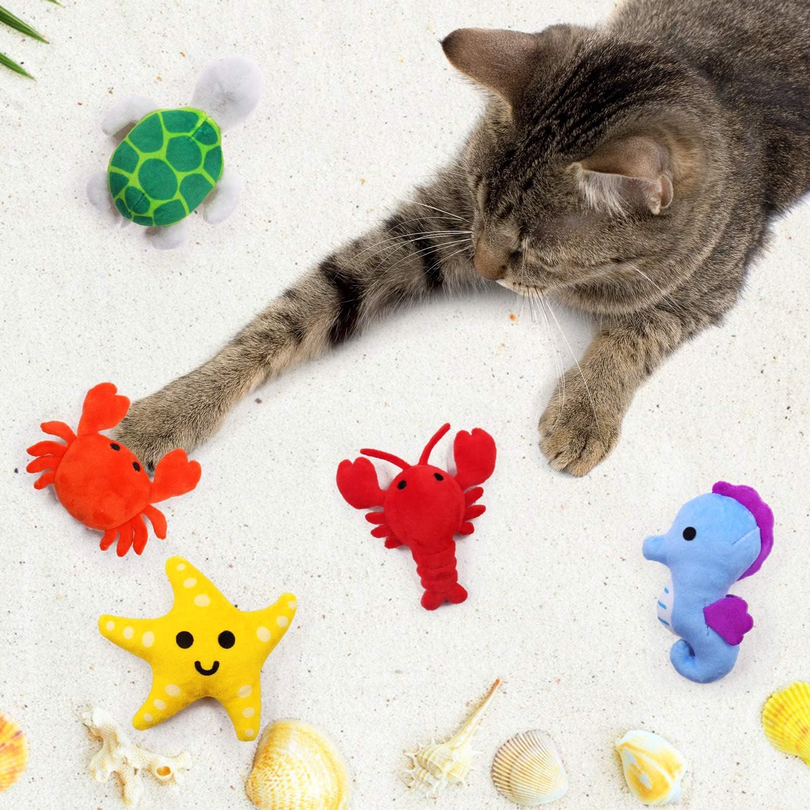 CiyvoLyeen starfish catnip toy sparks curiosity during playtime.