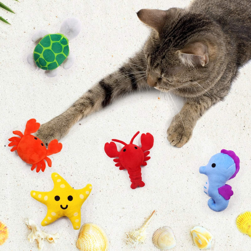 CiyvoLyeen starfish catnip toy sparks curiosity during playtime.
