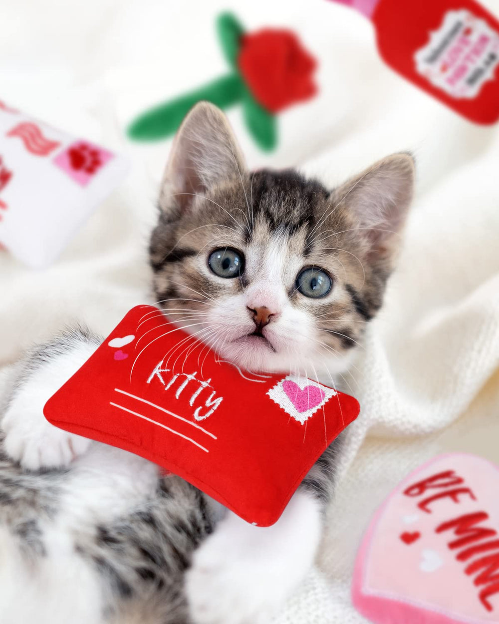 CiyvoLyeen Valentine catnip toy bundle durable and appealing for cats