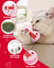 CiyvoLyeen Valentine love potion bottle toy catnip-filled interactive chew