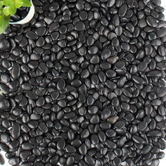 CJGQ 45lb black pebbles for plants in planters offer durable decorative coverage.