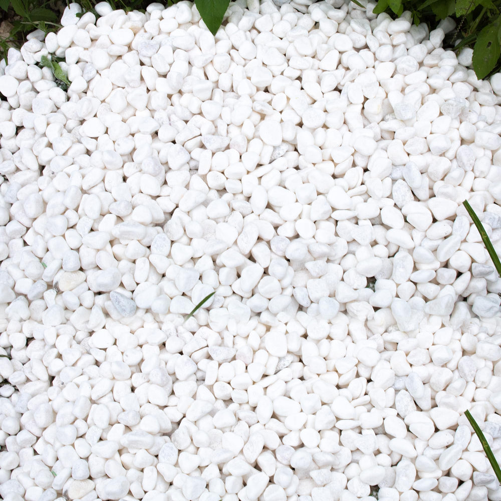 CJGQ 45lb white rocks for plants highlight clean texture in pots and planters.