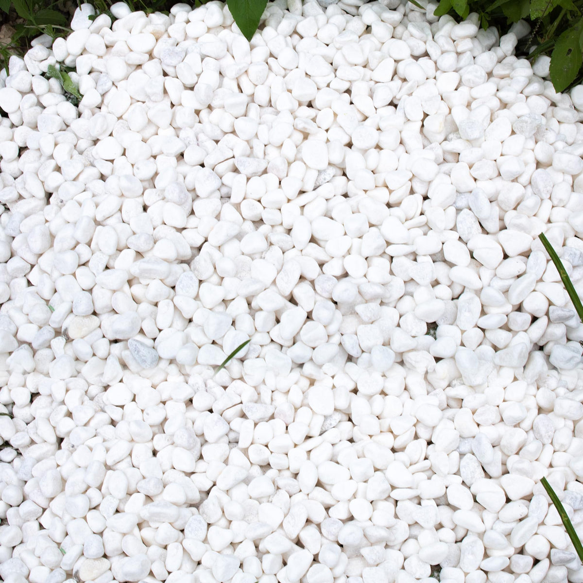 CJGQ 45lb white rocks for plants highlight clean texture in pots and planters.