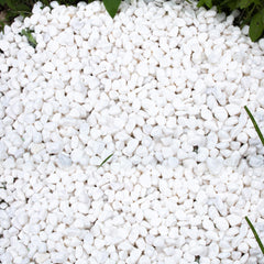 CJGQ 45lb white rocks for plants highlight clean texture in pots and planters.