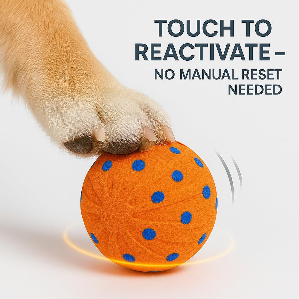 CKFPS interactive dog ball IP54 water resistant for indoor and outdoor fun