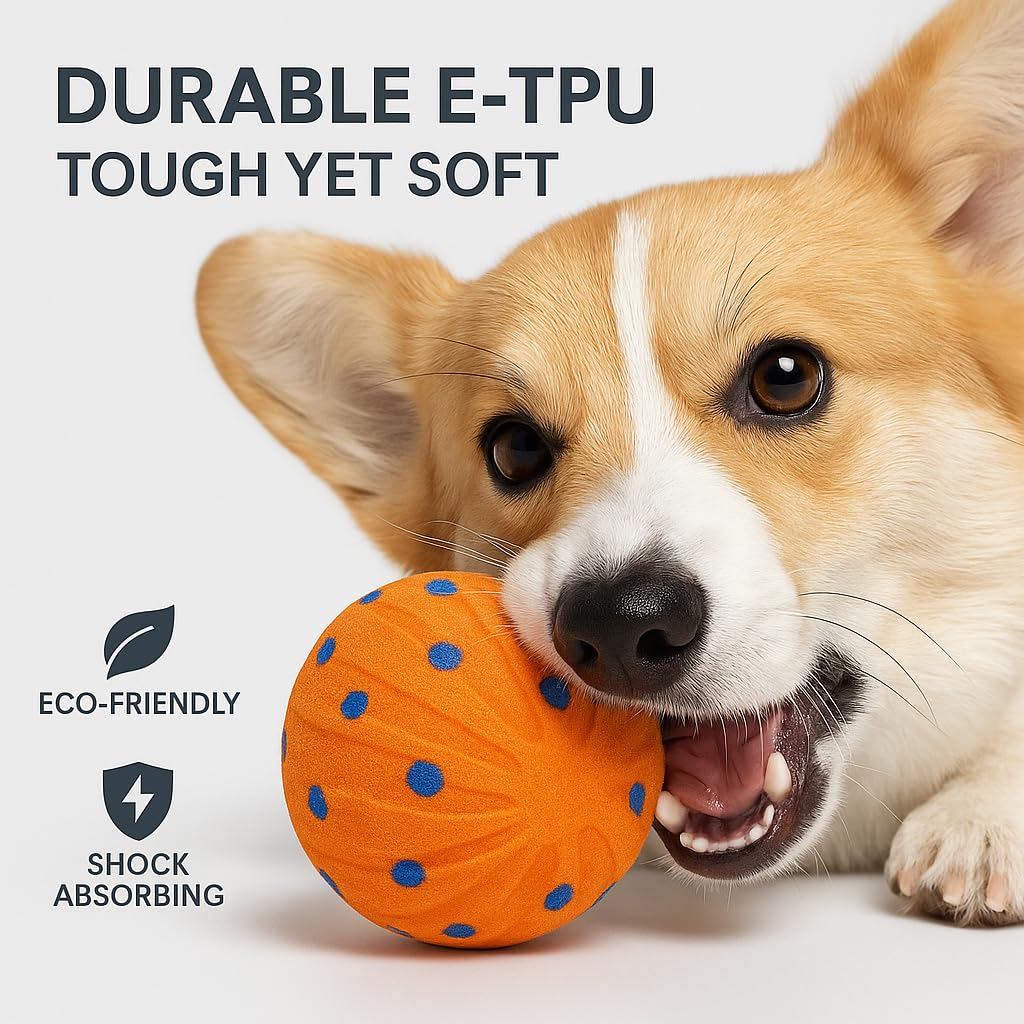 CKFPS interactive dog ball USB C charging for quick power on the go