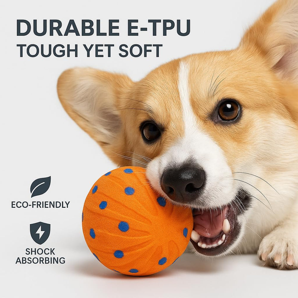 CKFPS interactive dog ball USB C charging for quick power on the go