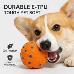 CKFPS interactive dog ball USB C charging for quick power on the go