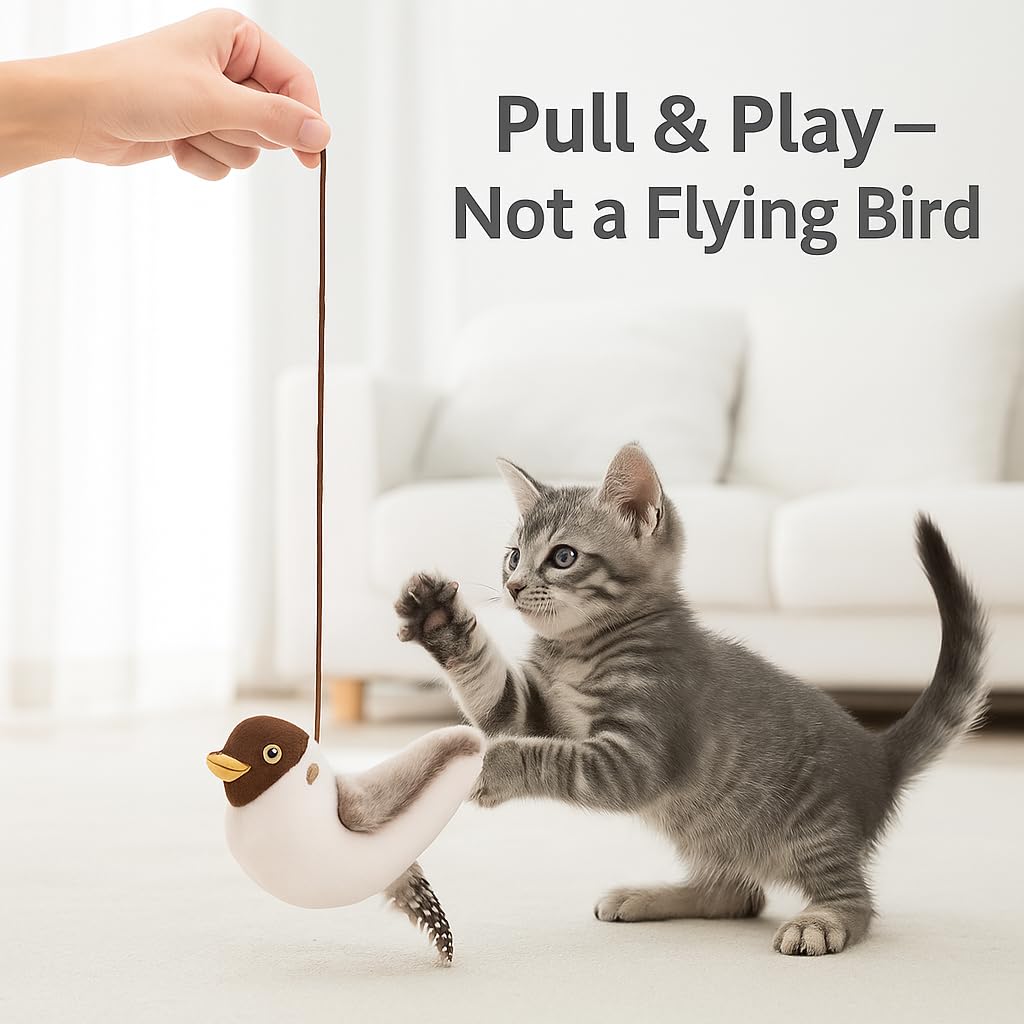CKFPS safe for solo or supervised indoor play sessions.