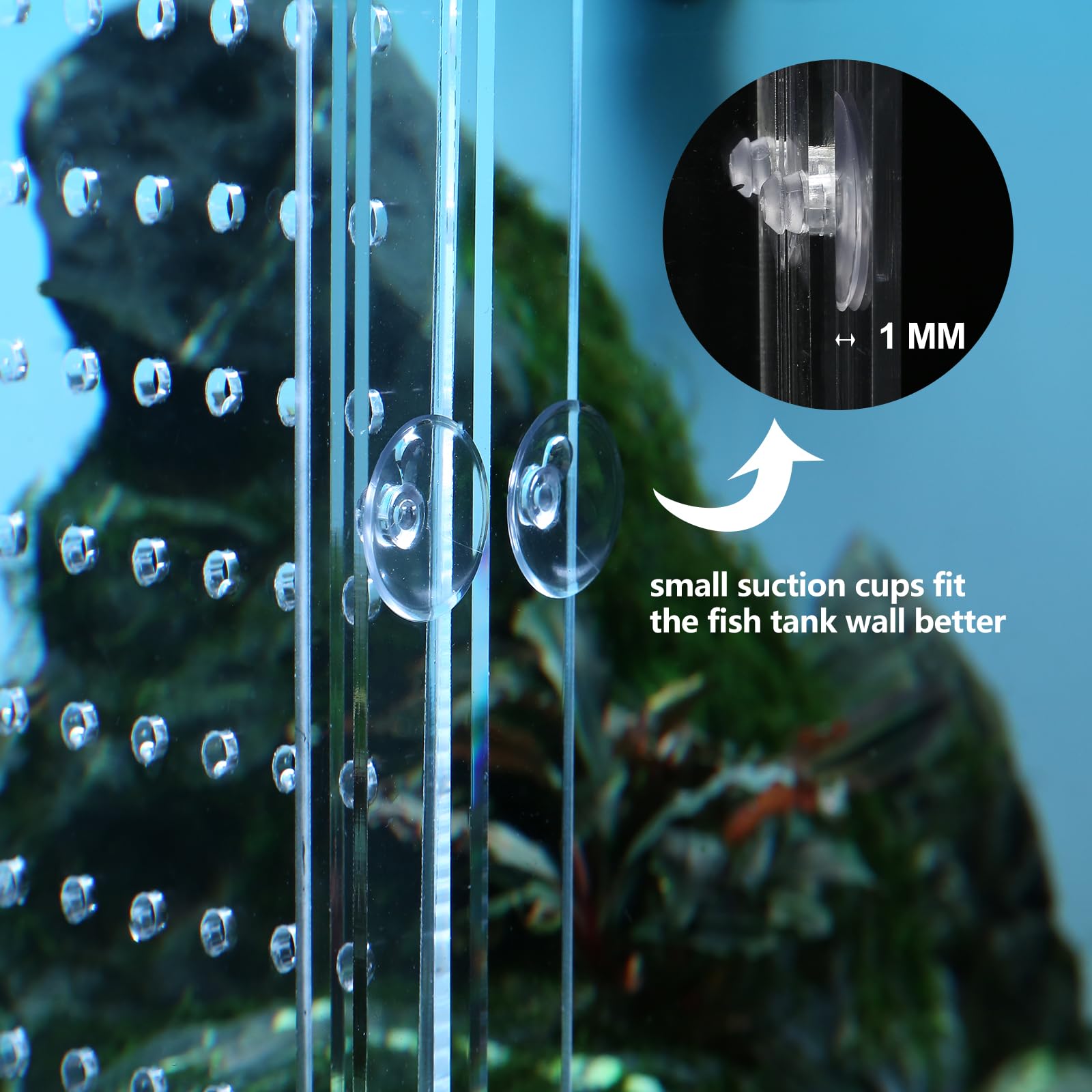 CLarellara acrylic divider close-up reveals high transparency for unobtrusive viewing.