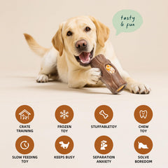 ClariVora interactive dog toy with side grooves for puzzle play and rewards.